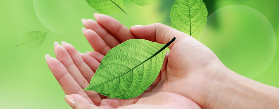 Green Room Counselling