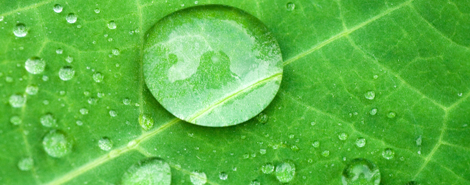 Green Room Counselling